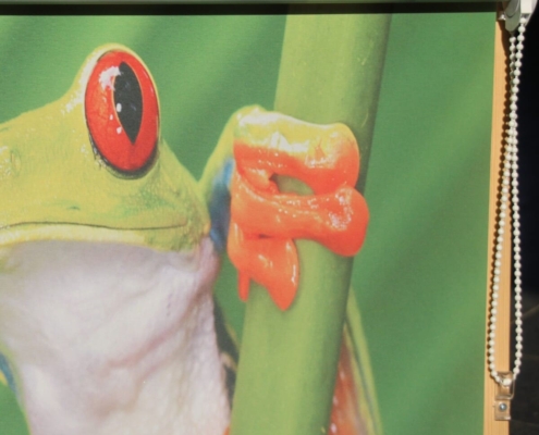 Rolgordijnen met logo of print